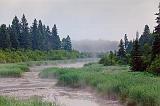 Misty Foggy Marsh_02329-30